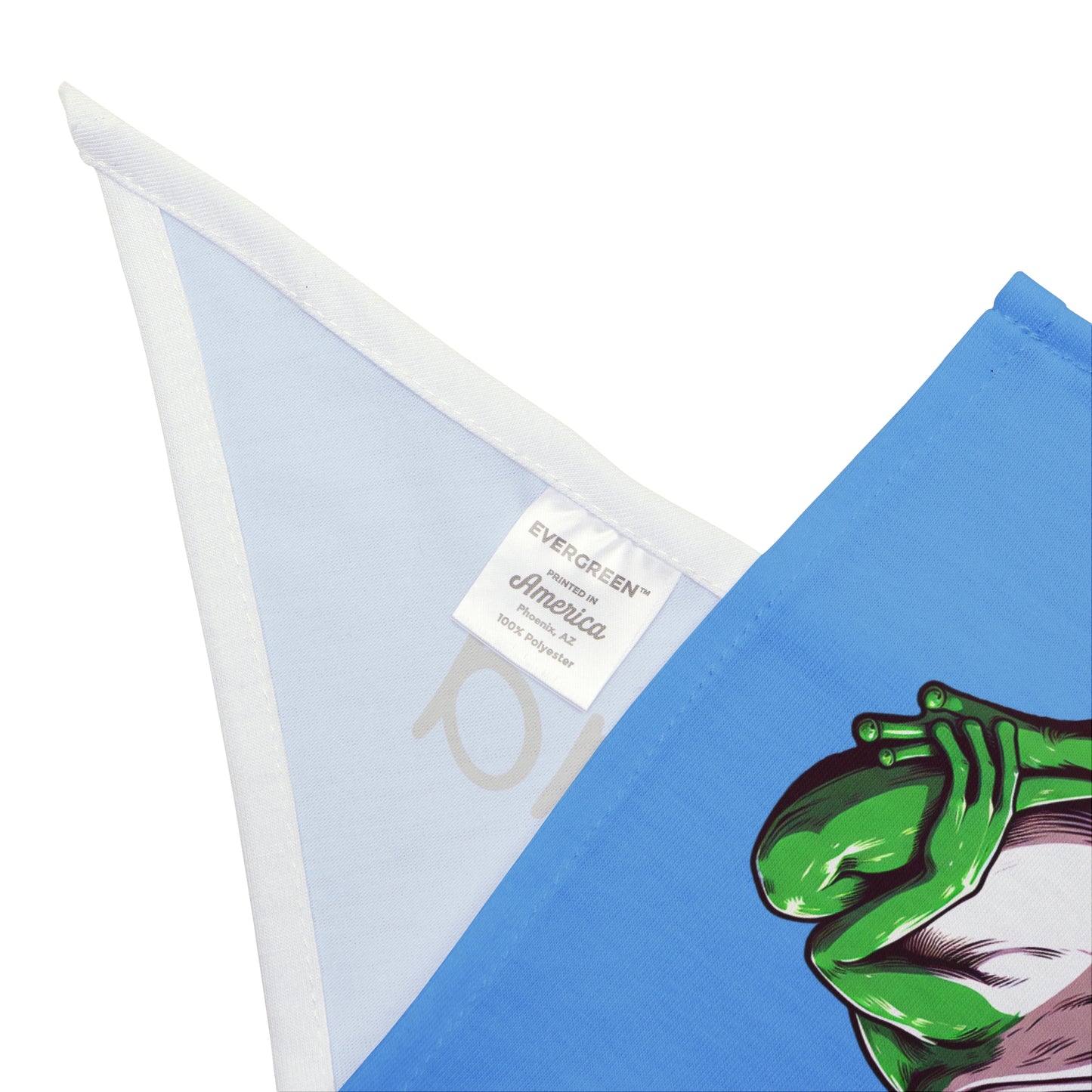 Toadally Rad Pet Bandana