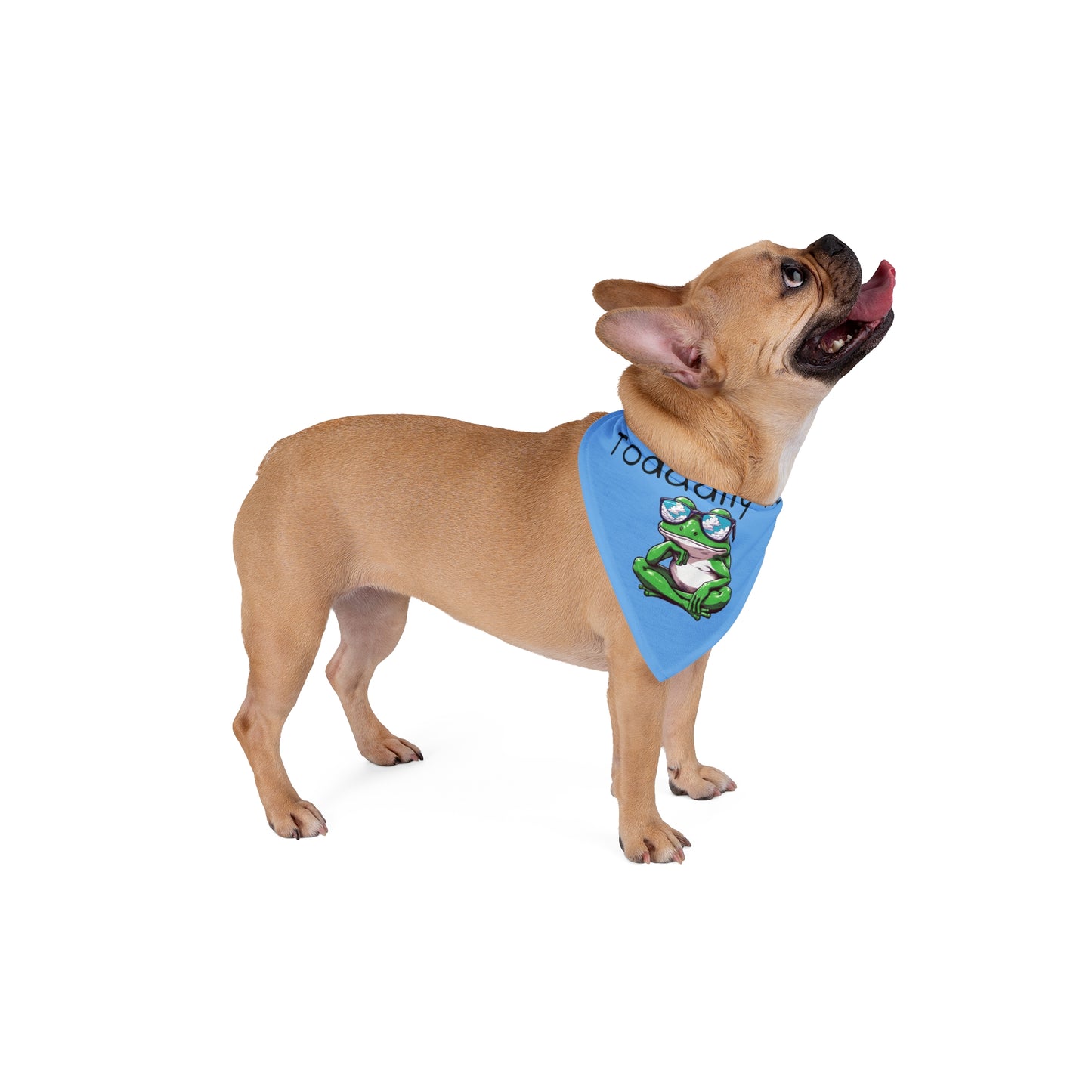 Toadally Rad Pet Bandana